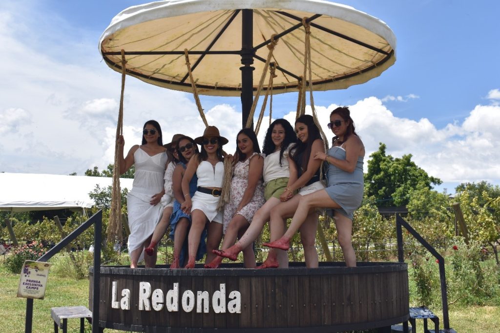 Viñedos La Redonda celebró su 50 aniversario con Vendimia durante todo agosto.